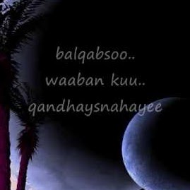 Mohamud Mohamed Photo 24