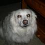 Ann Lutz Photo 21