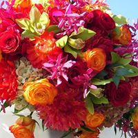 Teena Varma Photo 7