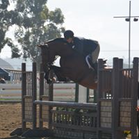 Kim Green Photo 8