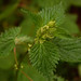 Gordon Nettles Photo 11