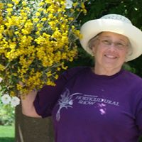 Linda Ladd Photo 20