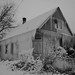 Gregory Mcclellan Photo 10
