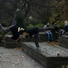 Stephen Flanagan Photo 10