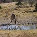 Fred Pate Photo 9