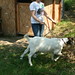 Michelle Turk Photo 35