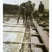 Alice Packard Photo 8