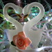 Swan Crisp Photo 2