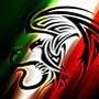 Saul Duarte Photo 22
