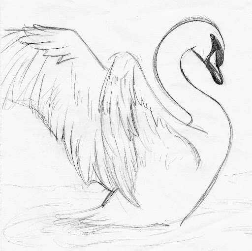 Betty Swan Photo 15