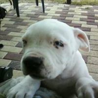 Kimberly Snapp Photo 5