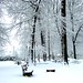 Celeste Winters Photo 11