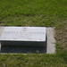 Robert Whaley Photo 49