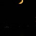 Allison Moon Photo 13
