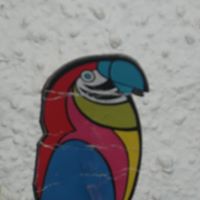 John Parrot Photo 18