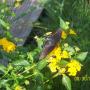 Margaret Rice Photo 21