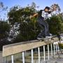 Dan Roberts Photo 17