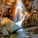 Larry Wolf Photo 18