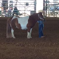 Shannon Tucker Photo 23