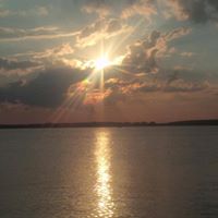 Donna Reinhart Photo 13