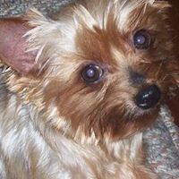 Barbara Lanham Photo 9