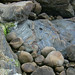 Rick Harden Photo 16