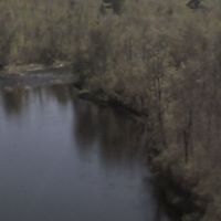 Margaret Billings Photo 4