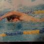 David Dent Photo 8