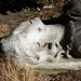 Douglas Marchand Photo 6