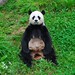 Xiang Fan Photo 6
