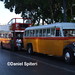Daniel Spiteri Photo 12