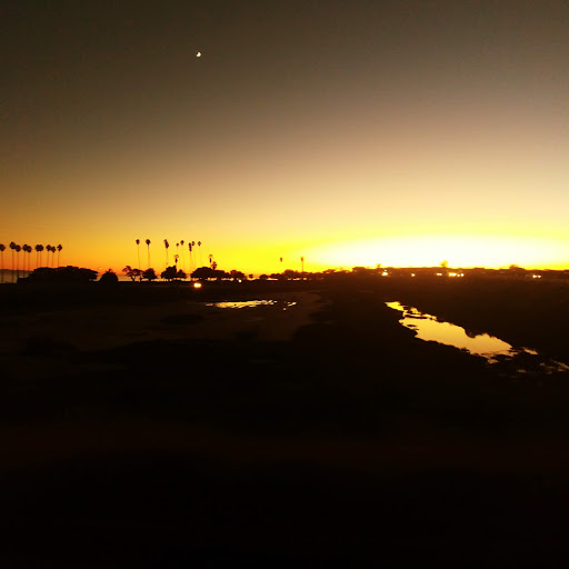 Robert York Photo 27