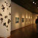 Stephen Dooley Photo 42