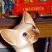 Joyce Buckner Photo 12