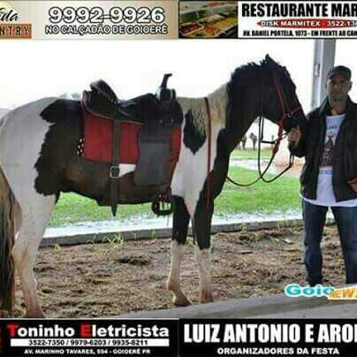Marcelo Adriano Photo 9