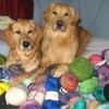 Nora Brown Photo 10