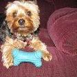 Nancy Hartshorn Photo 8
