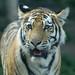 Ashwin Ramakrishnan Photo 12