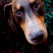 Tracey Bradley Photo 14