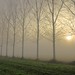 David Rotta Photo 8