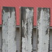Flora Spitzer Photo 8