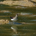 Leonard Pond Photo 10