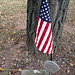 L Ellis Photo 13