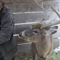 Charles Woods Photo 28
