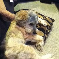 Teddy Rowe Photo 2