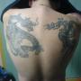 David Trinh Photo 23