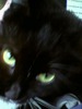 Judith Russo Photo 31
