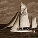 John Dowe Photo 20