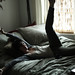 Katherine Bliss Photo 12