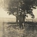 Henry Rowe Photo 20